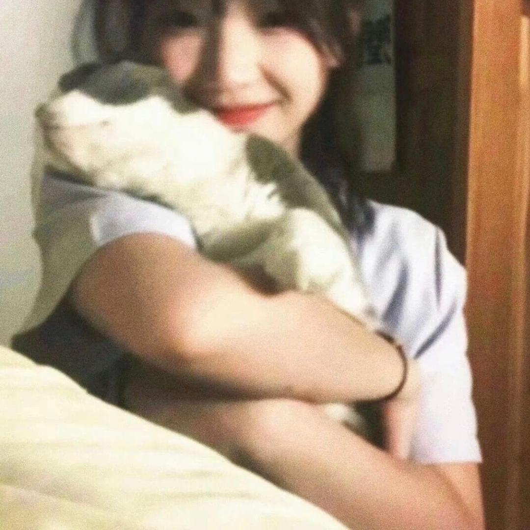 ^—碎碎冰🧊