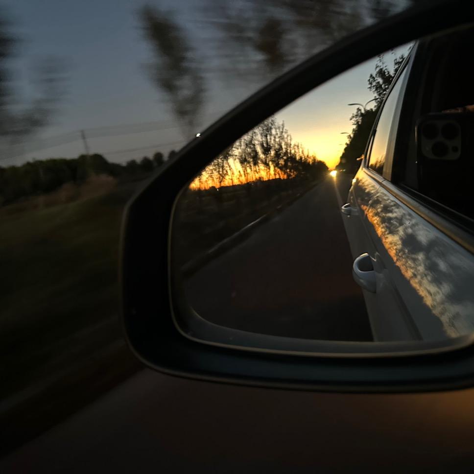 ㅤㅤㅤㅤㅤㅤㅤ鲨鱼辣椒ㅤㅤㅤㅤㅤㅤㅤㅤㅤ