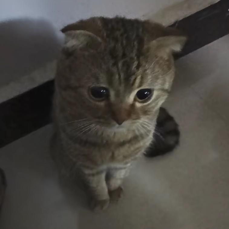 我不是故意的