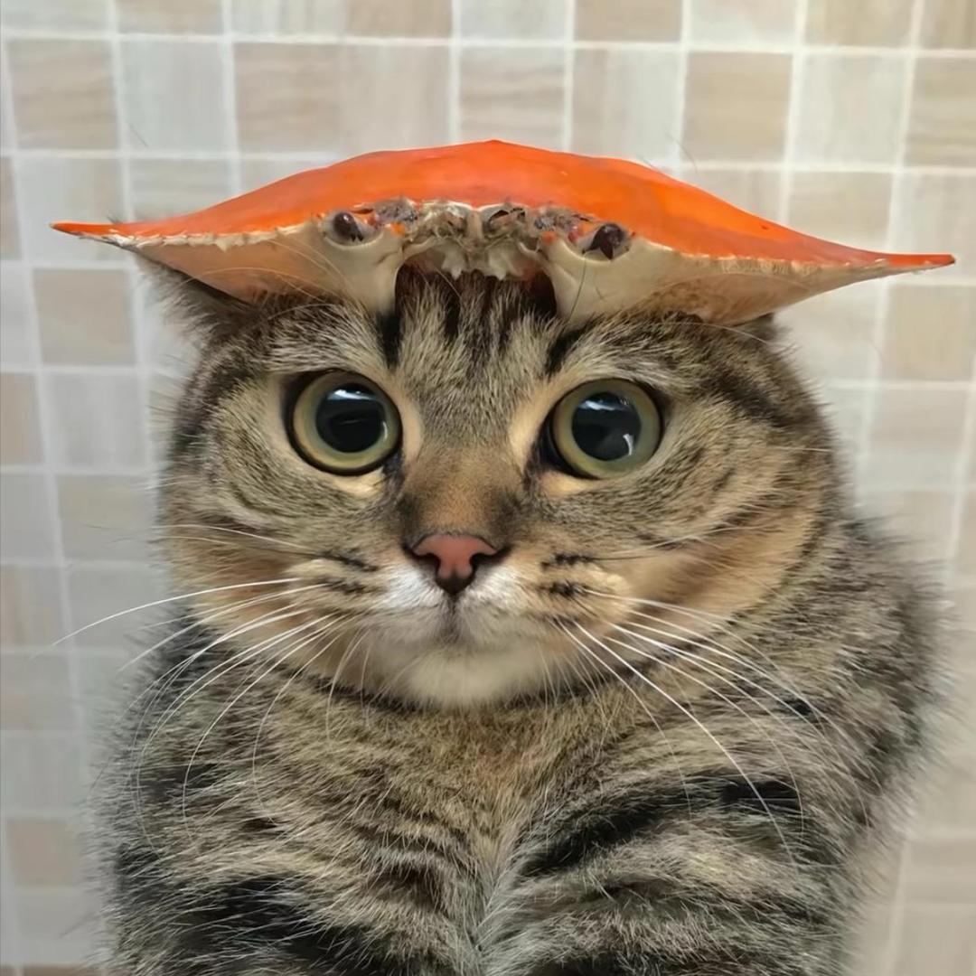 ･◡･