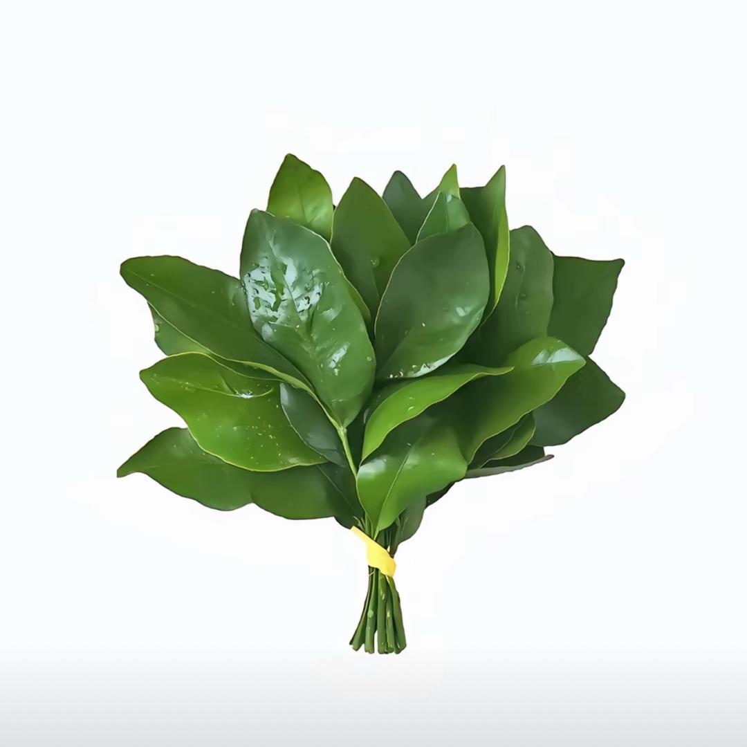 石榴不是十六