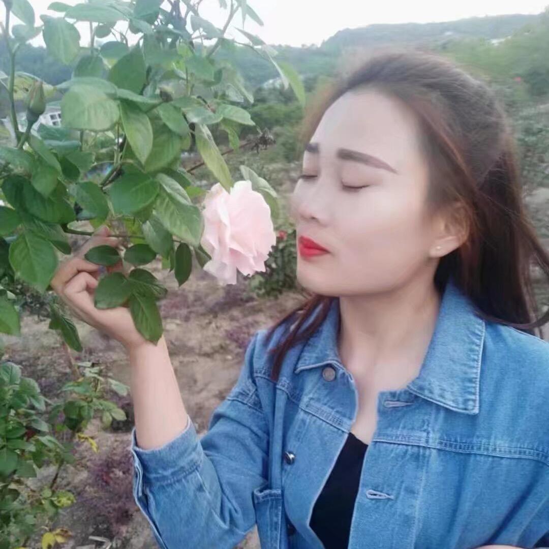 陪伴是最长情的告白