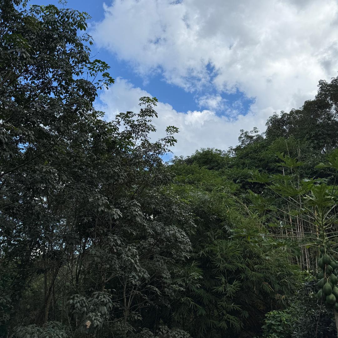 小阿妹  山村生活