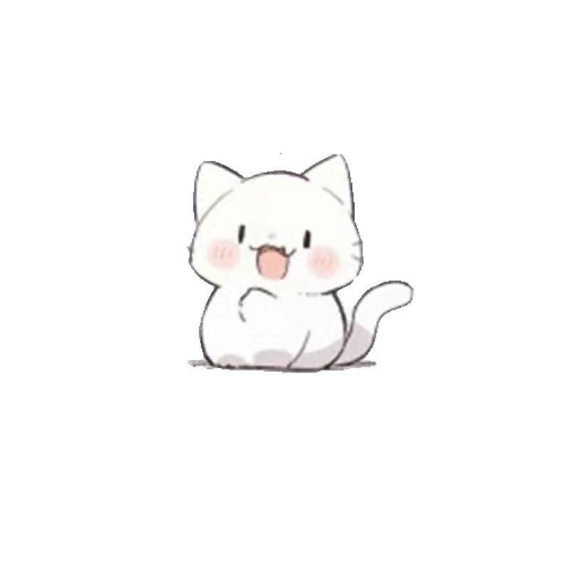 小小猫的一枝花