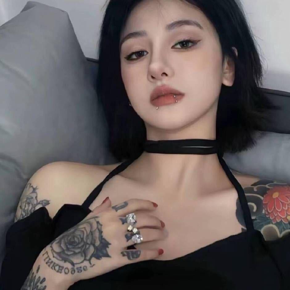 叮叮猫