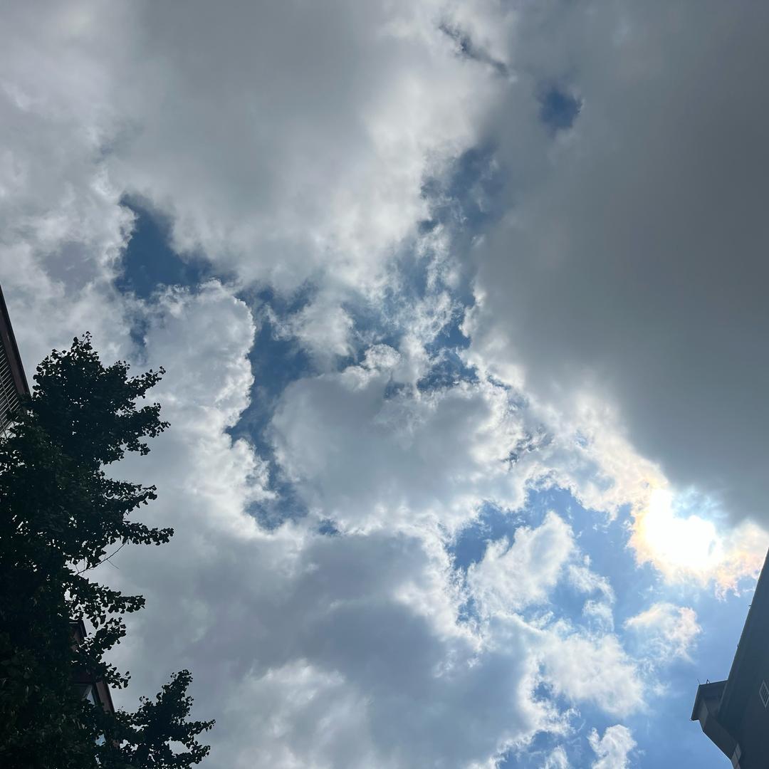 合理（三角洲行动）