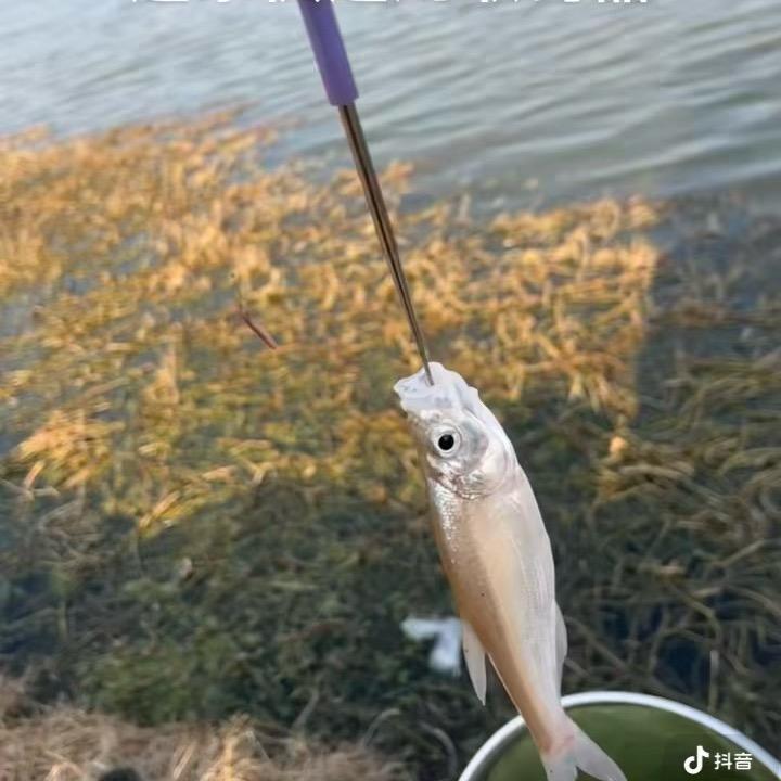 一个人等一个人
