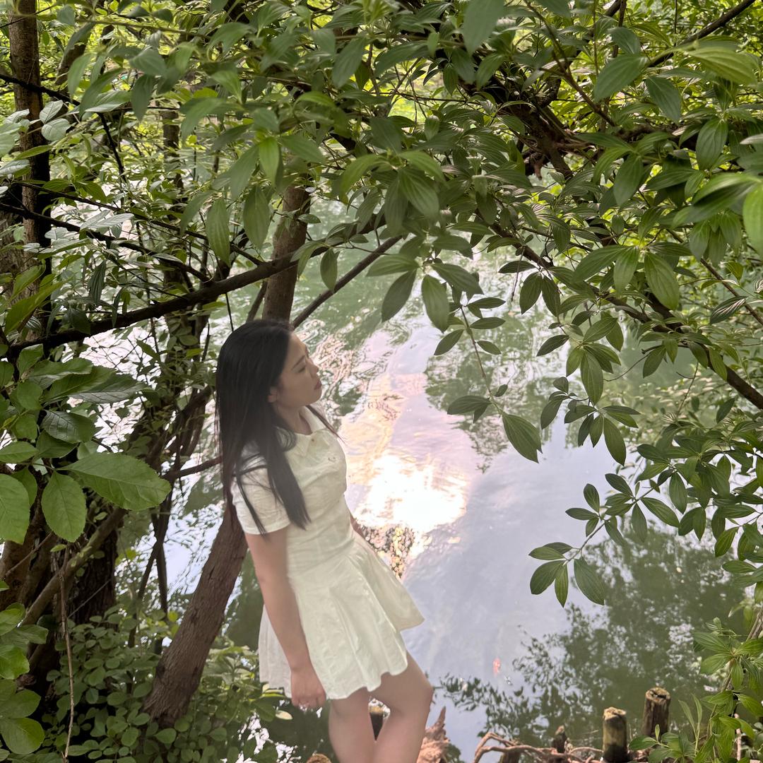 小龙