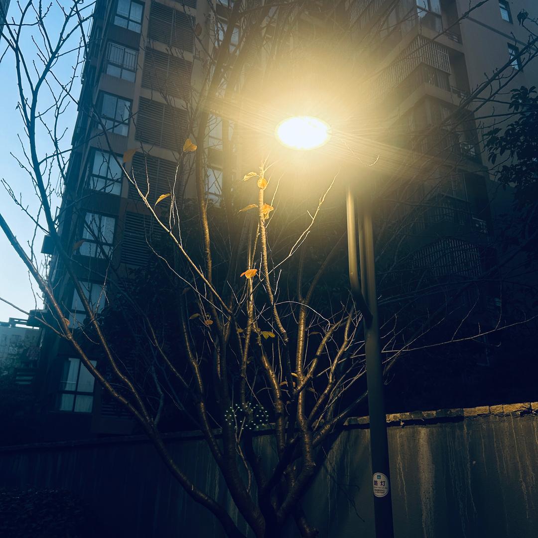 柚不美式🐟