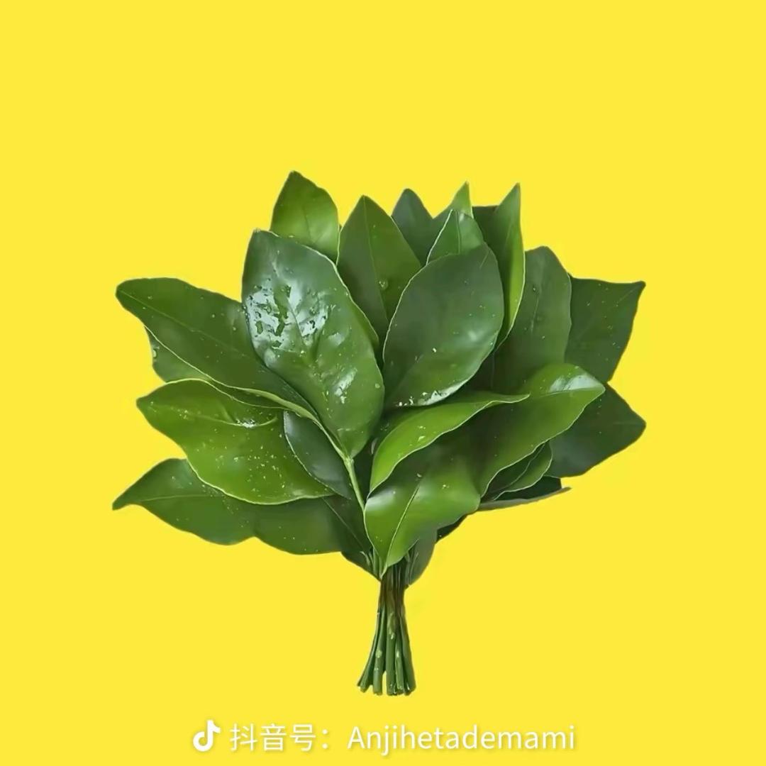 锦鲤