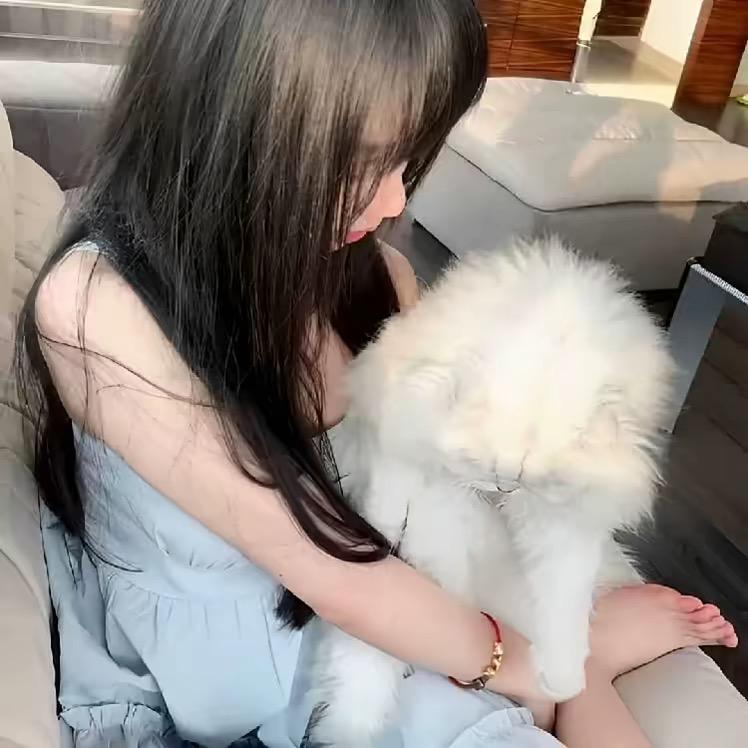 ㅤ￴￴ ￴ ￴ ￴ ￴ ￴ ￴￴ ￴ ￴