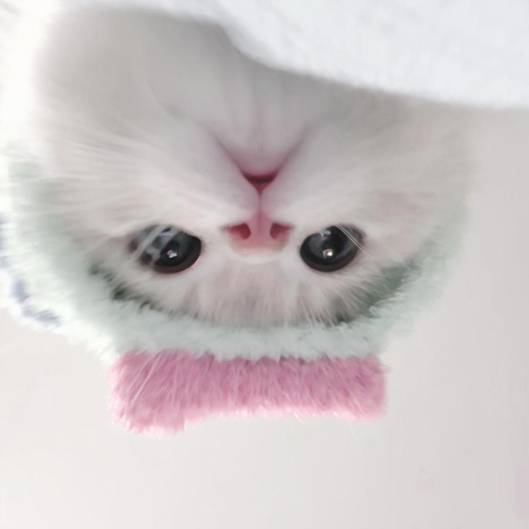 心情