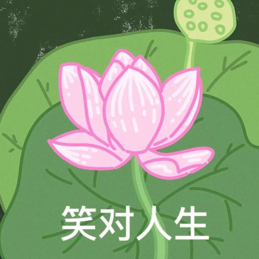 CiCi（实习版）