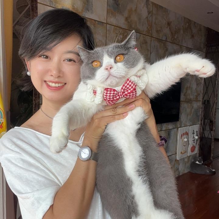 红桃家的猫