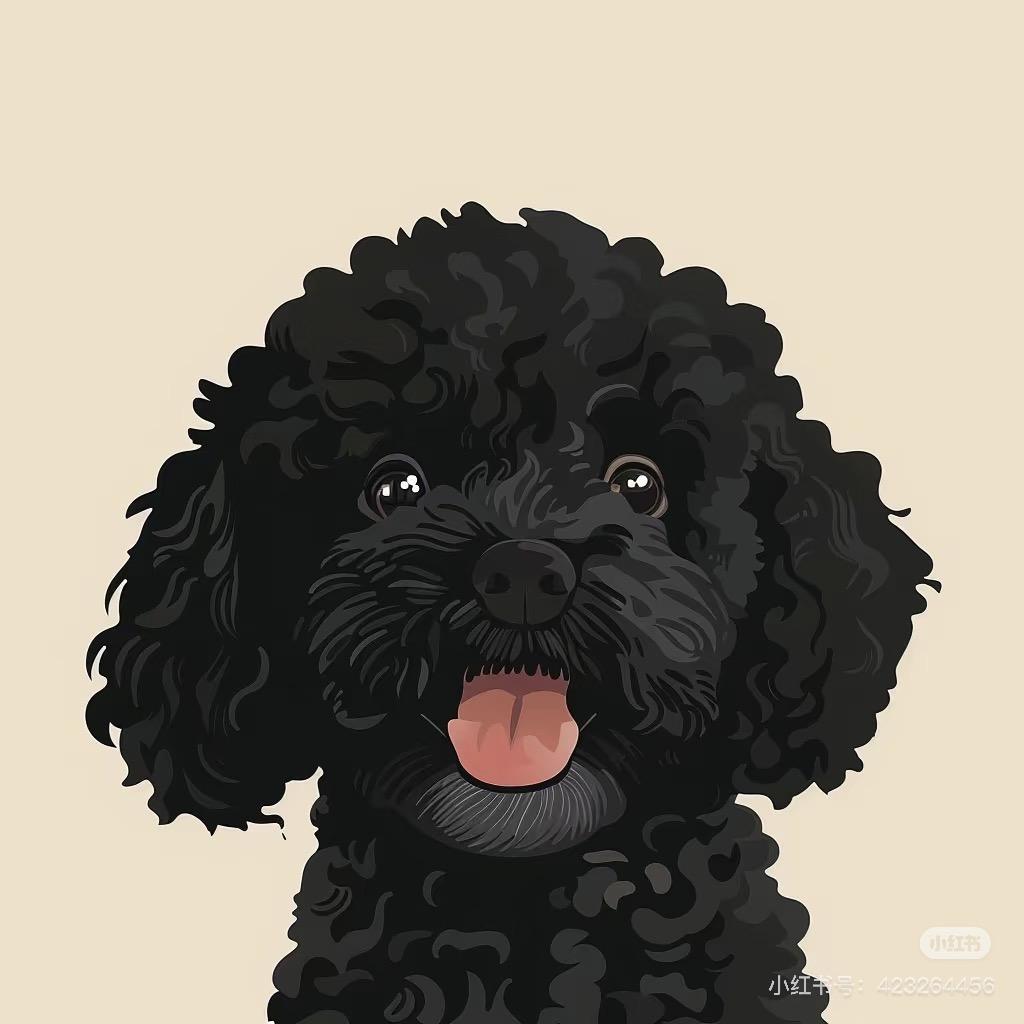 小小初一