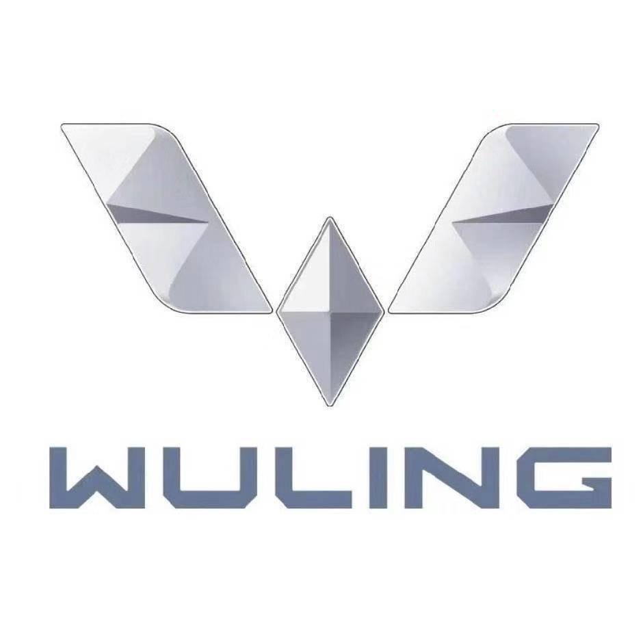 贵州巨德鸿汽车服务有限公司