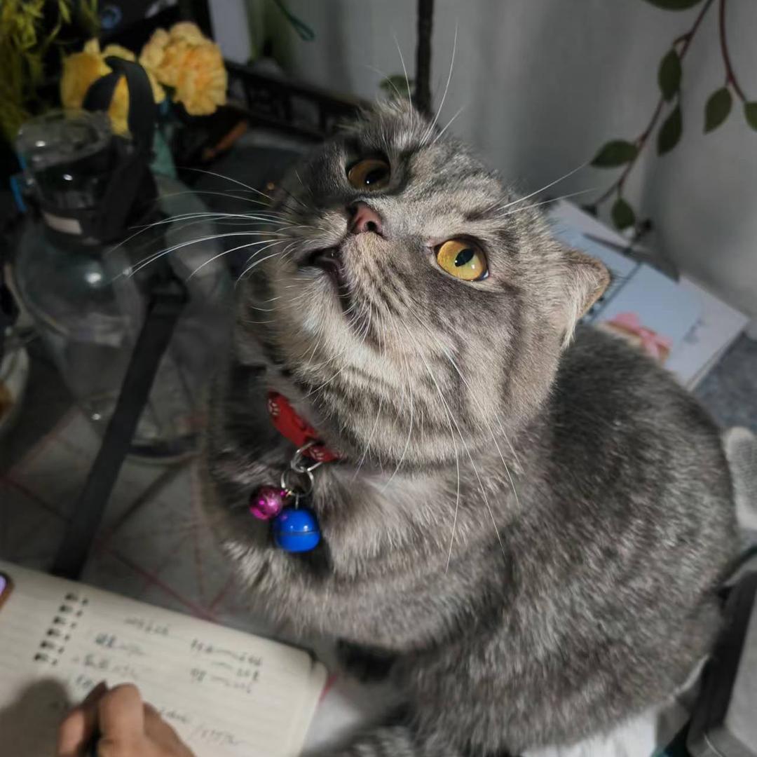 可乐最大