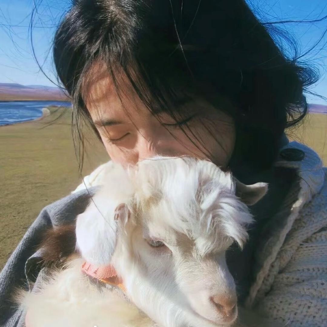 春遇海.