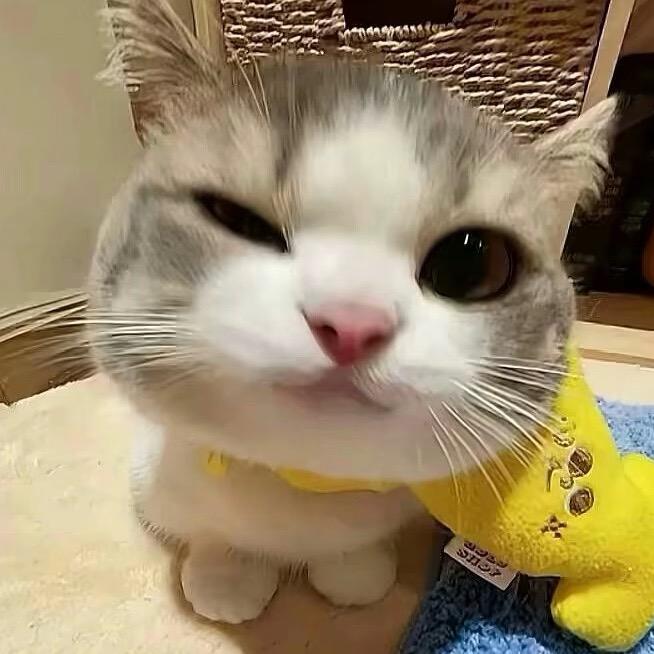 林子呀