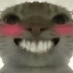 曙属（三角洲行动）