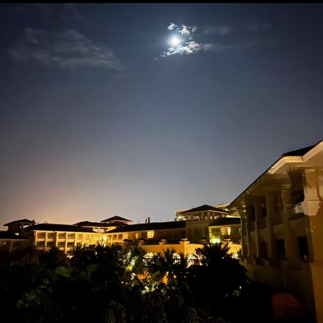 小刚分享直播号