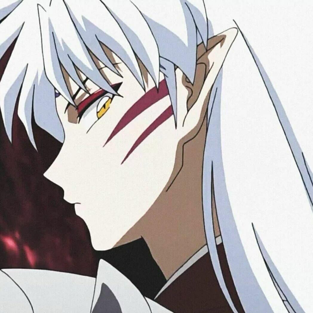 zz阿柒