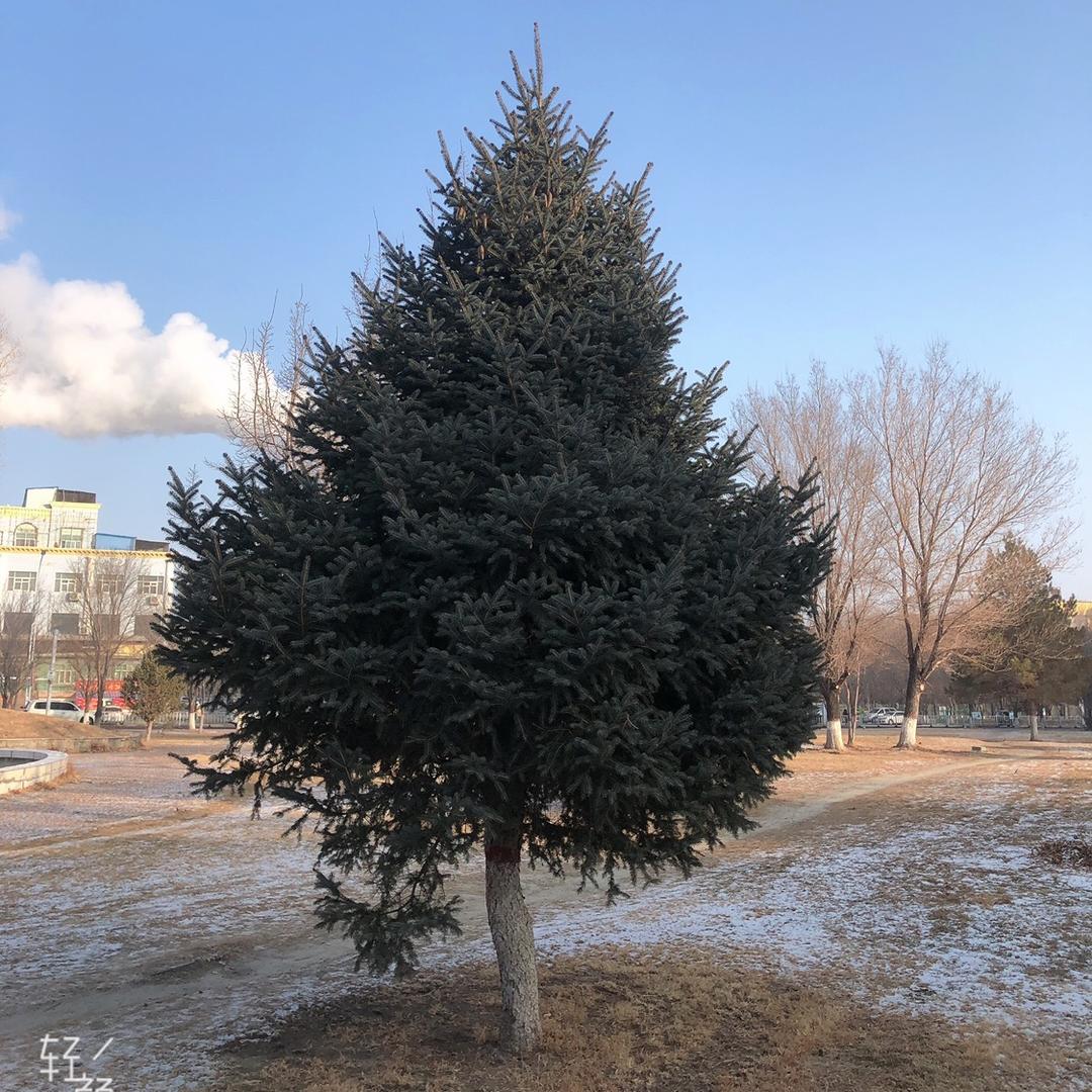 君住长江头！！