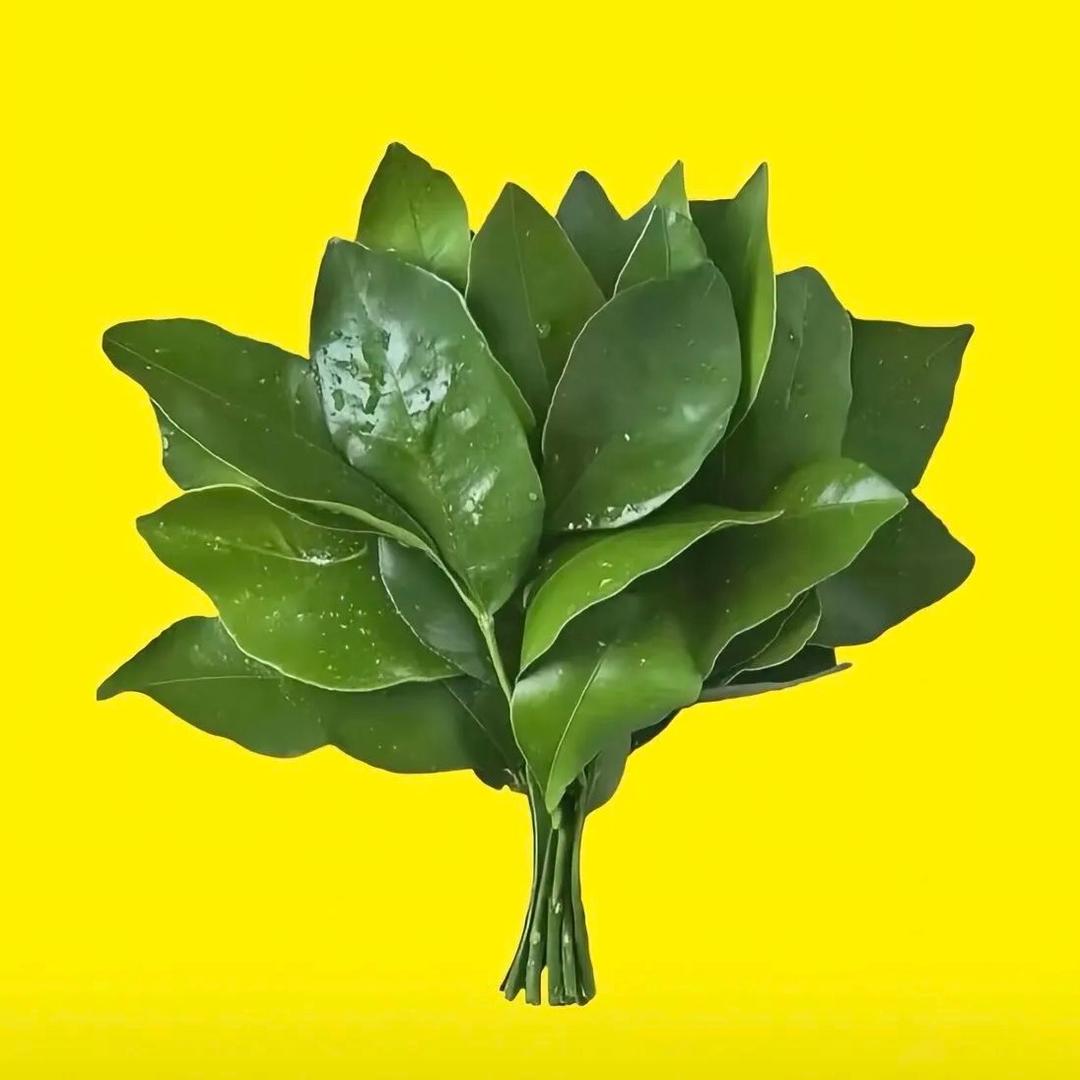 @ᰔᩚ爱财🍒悦己ᨶ႒ᩚ