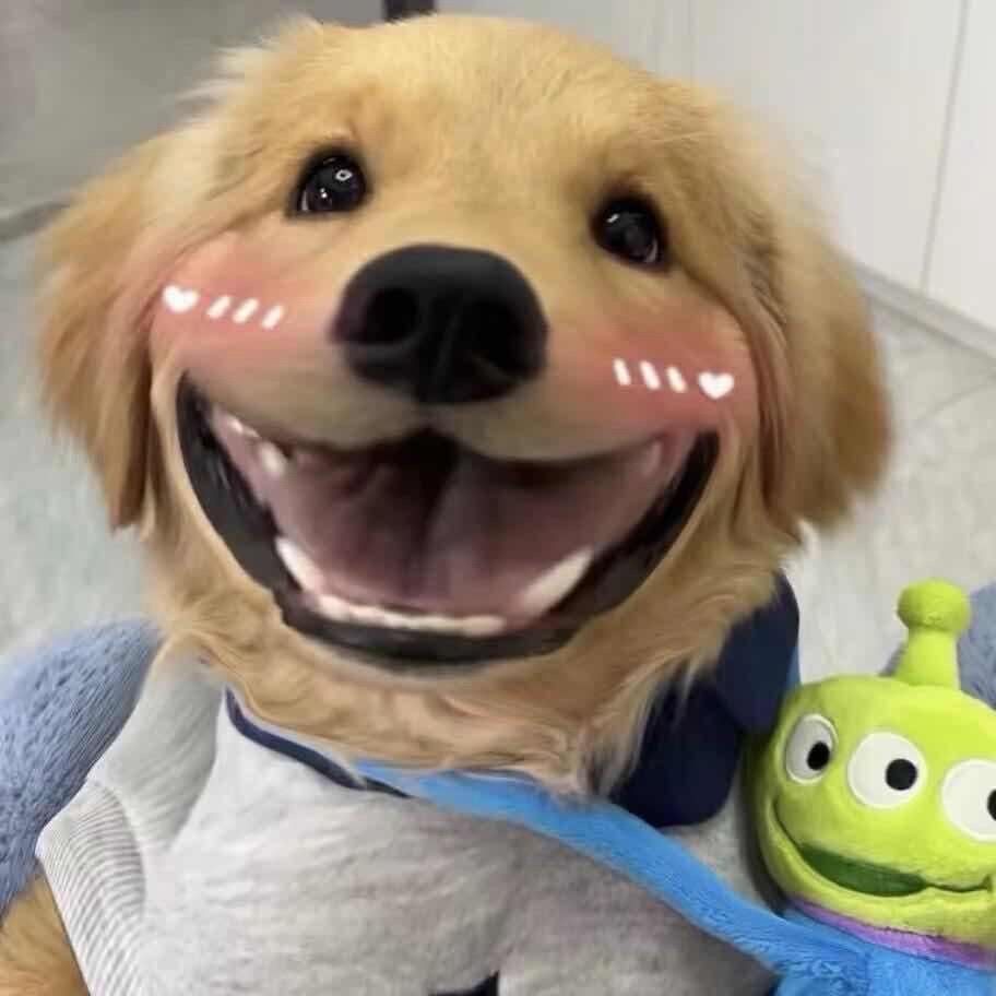 史迪仔.