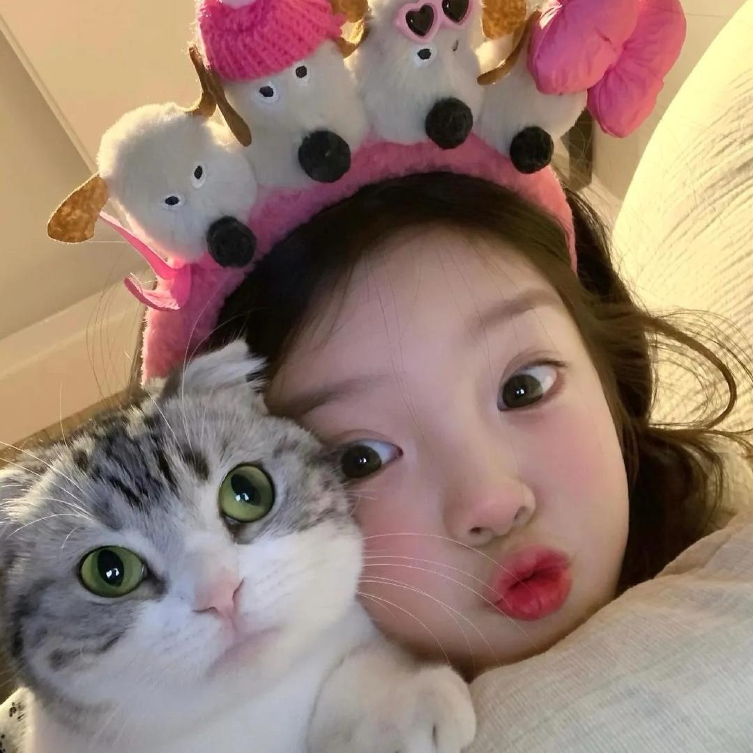 古德猫宁🍋