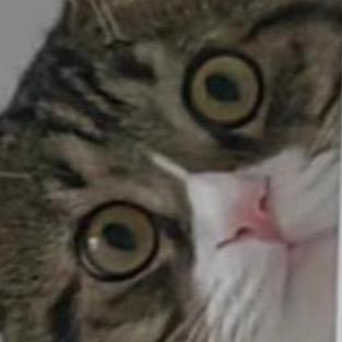 面包怪