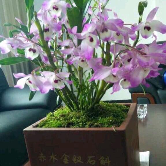 祥斛缘