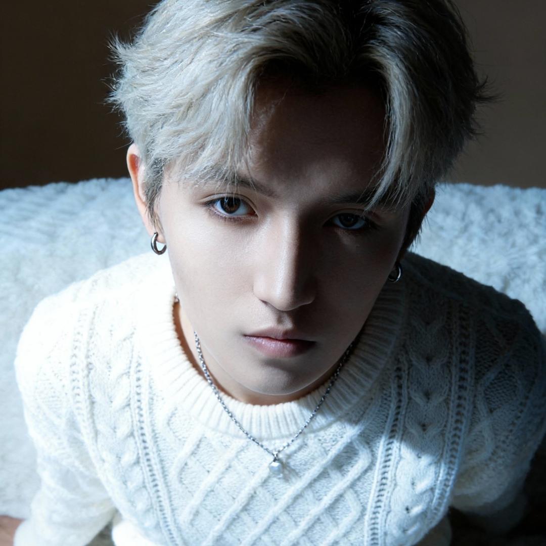 小麦不爱说话 三只猫