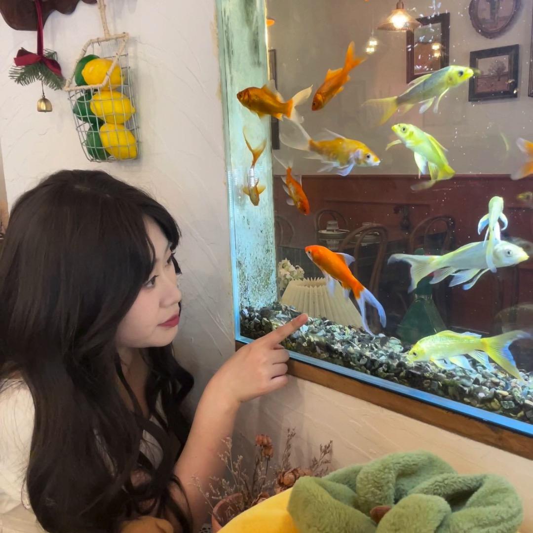 学习新思想.🎣