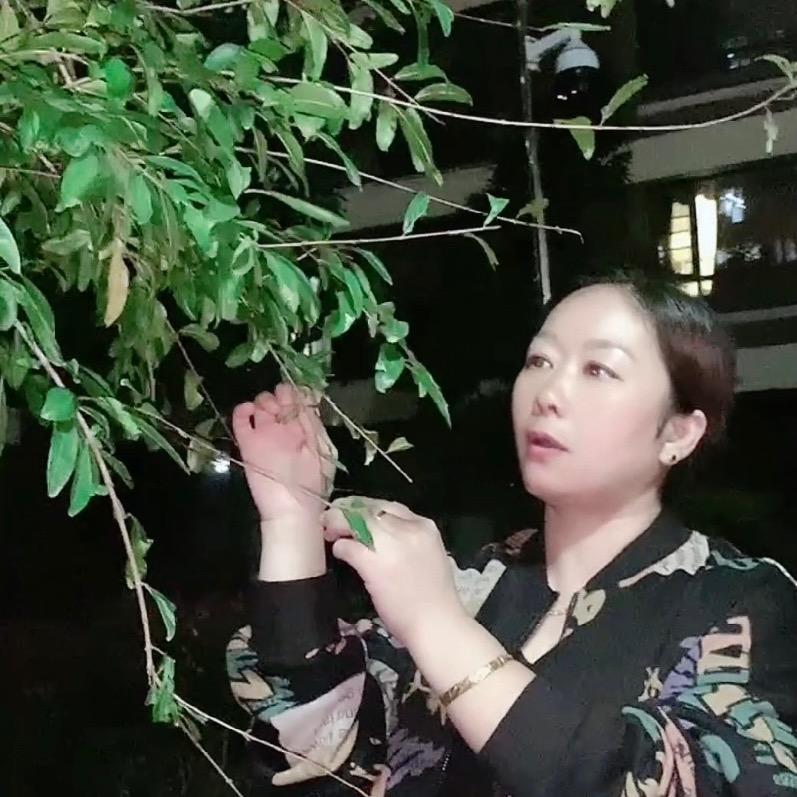马姐