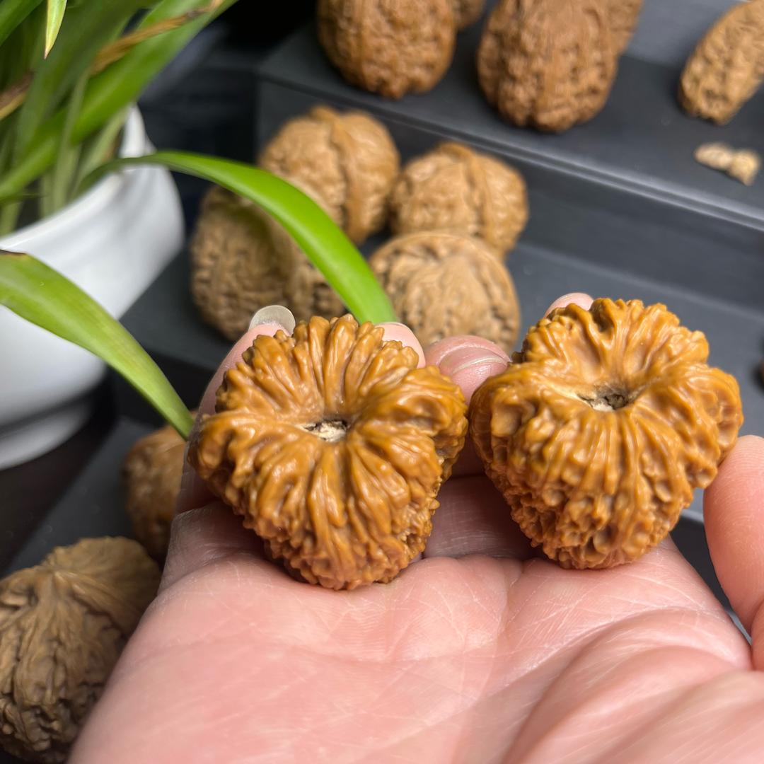 老王涿鹿南疆石