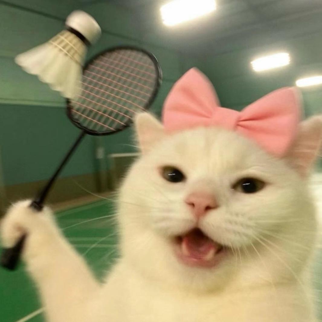 小茶包