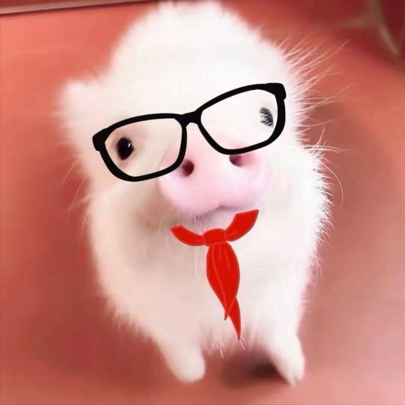 少主