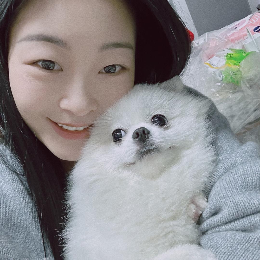 王哪跑有只小博美