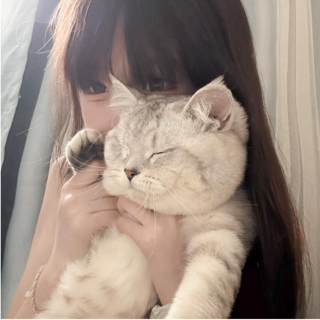 猫咪那个喵ฅ