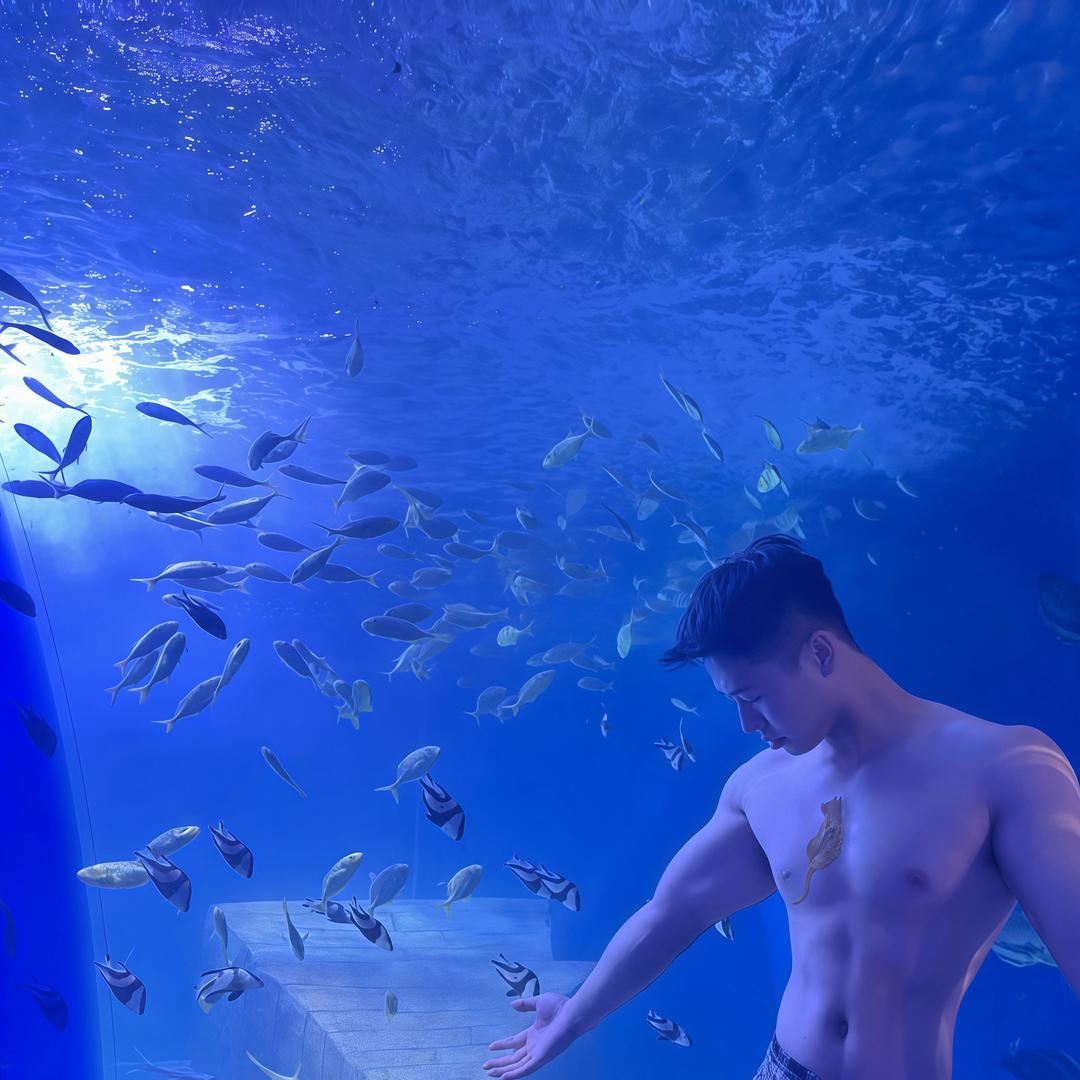 硬核猫爸明浩