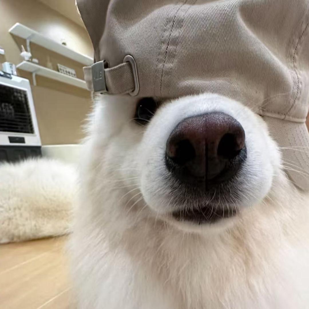虹之间ᝰᦔꫀꪑꪮꪀ