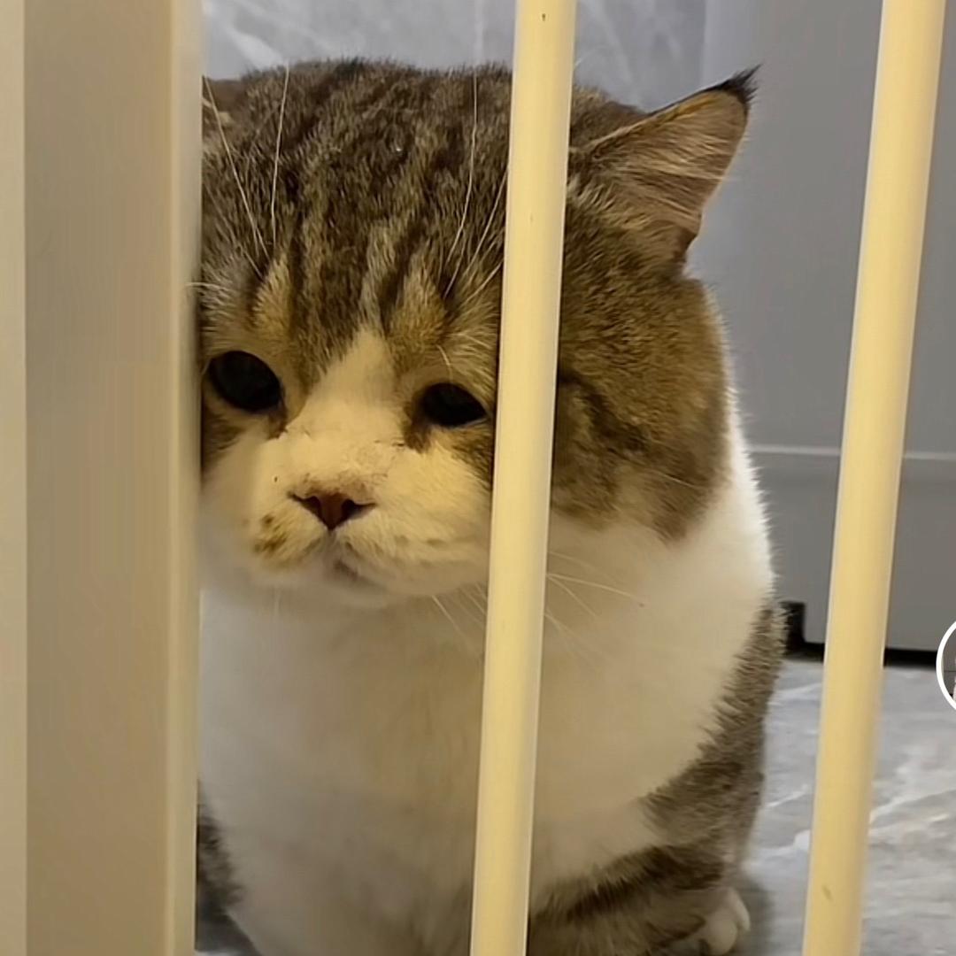 张家浩!！!！!！