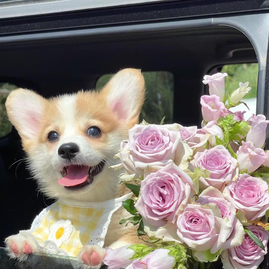 茜滚滚（会发财💰）