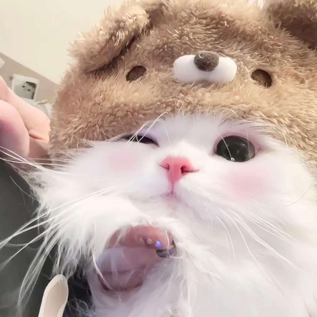 ゛๑泡໊⃨泡໊⃨.🫧এ