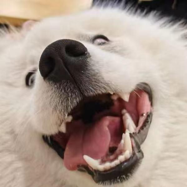 状态不好没睡饱