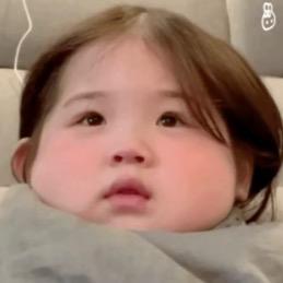 小了白了兔