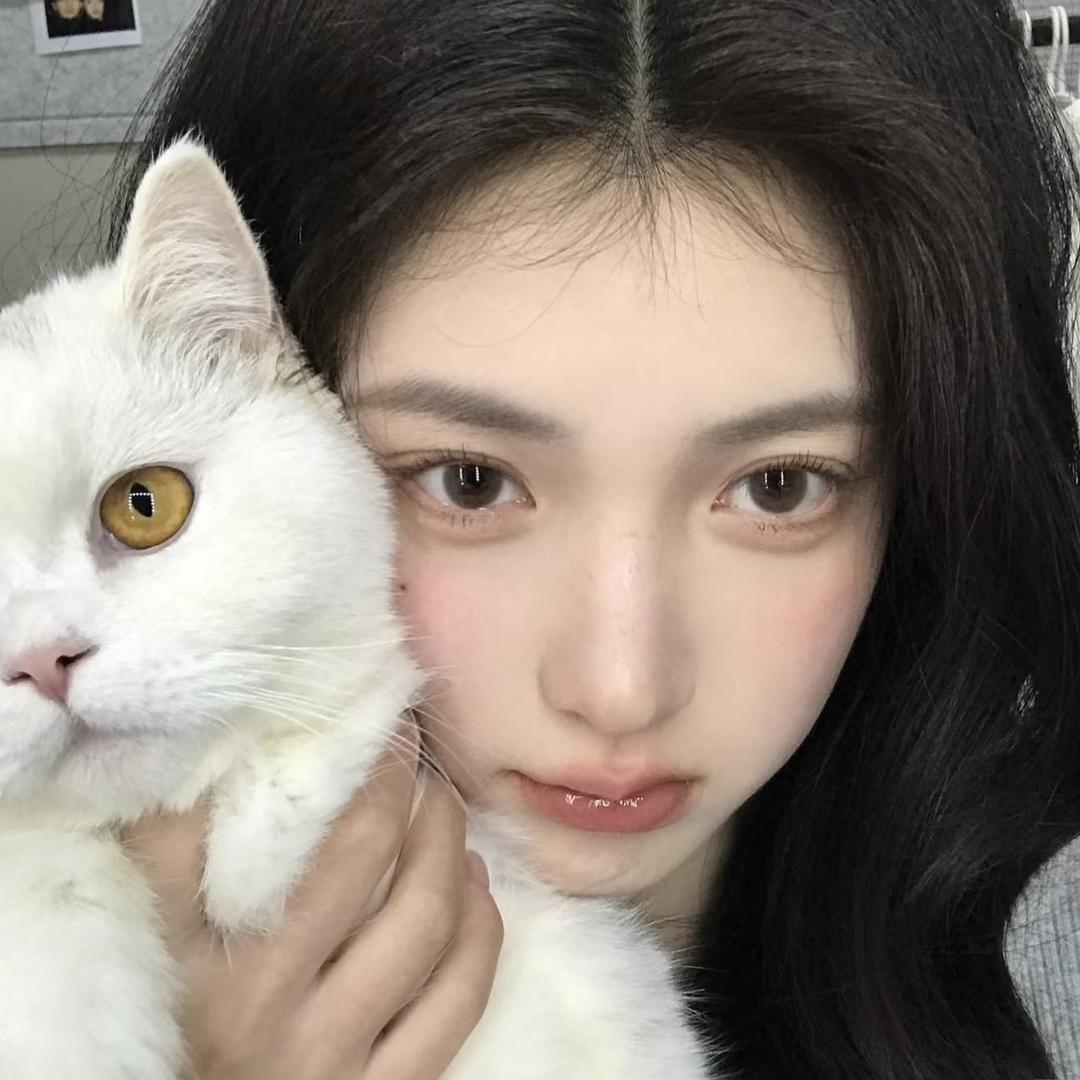 吃奥利奥的猫