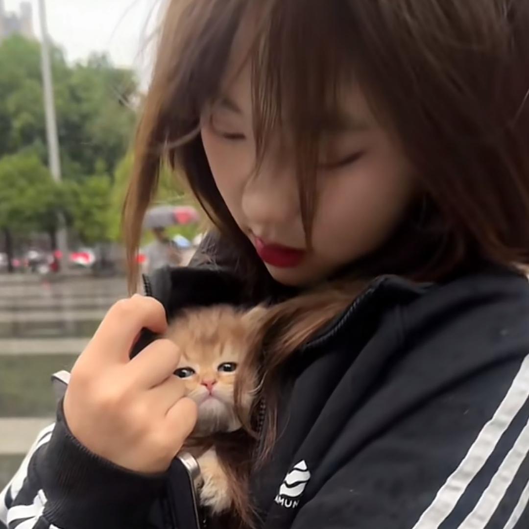 @.已读不回 就是装