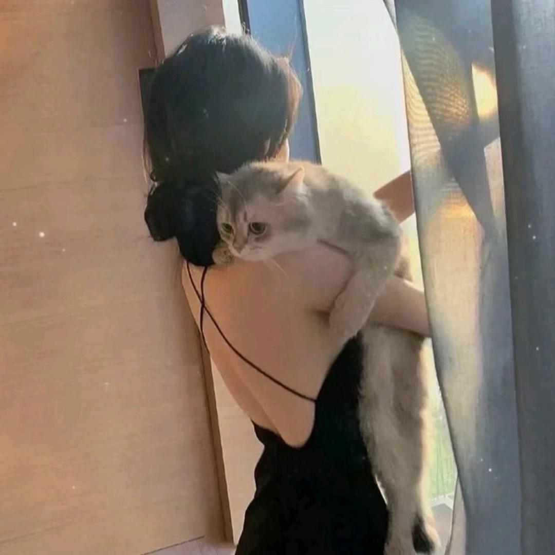 ʕ̯•͡˔•̯᷅ʔ幕后小黑爪子ᰔᩚ
